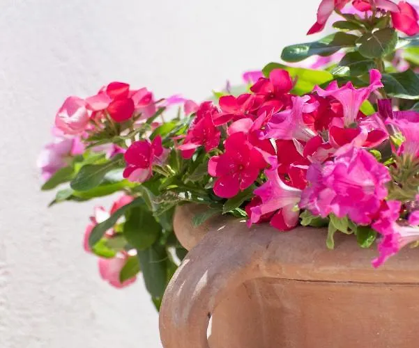 Despina 빌라 아판토우